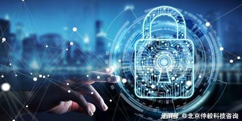 仲毅咨询 聚焦高校科技成果转化,浙江省引领高校科研新风向