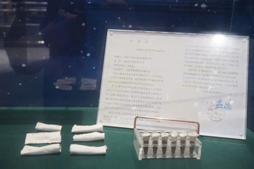 航天育种 科技创新,中科太空灵芝亮相航天科普展