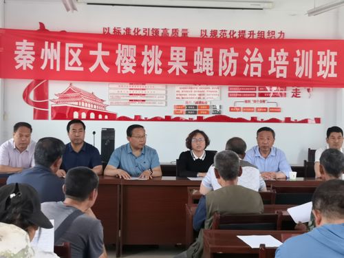 天水 加强科技培训指导 确保樱桃丰产丰收 图