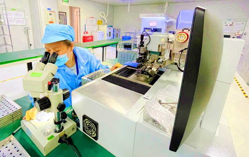 借力 孵化 企业腾飞