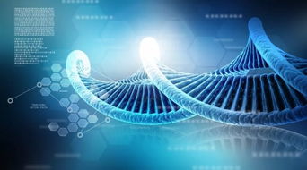 基因组学研究揭示五种与前列腺癌治疗耐药性相关的基因